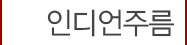 3인디언필